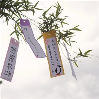 御殿場店☆【イベント開催！！】短冊に願いを込めて⭐⭐CHUMSで七夕を楽しもう‼🎋