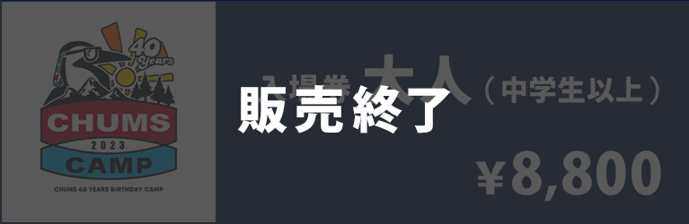 大人入場券(中学生以上)
