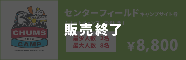 センターフィールドキャンプサイト券