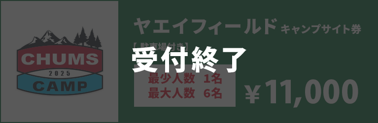 ヤエイフィールドキャンプサイト券