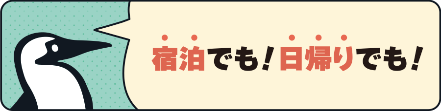 宿泊でも！日帰りでも！ご参加お待ちしています！