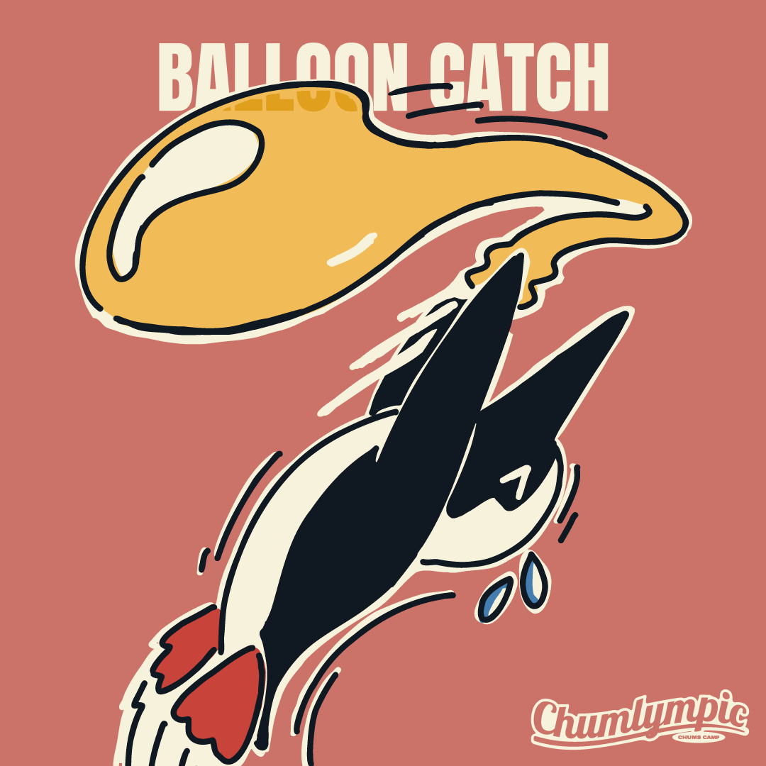 BALLOON CATCH