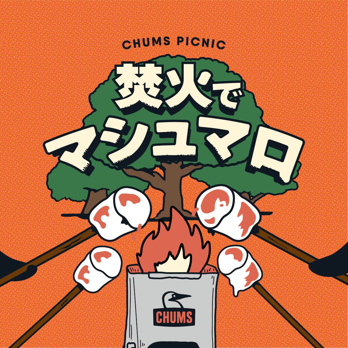 焚き火でマシュマロ