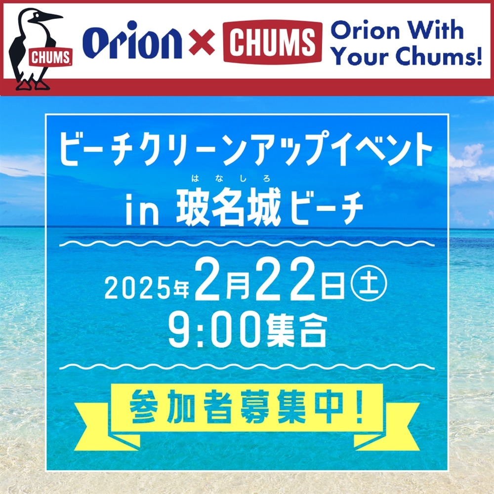 Orion with your Chums on the Beach!