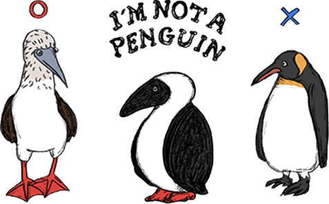 I'M NOT A PENGUIN