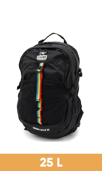 25L