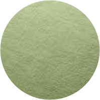 Olive Tree
