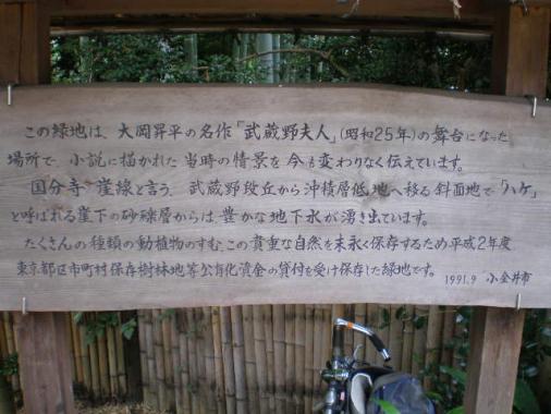 大岡 昇平