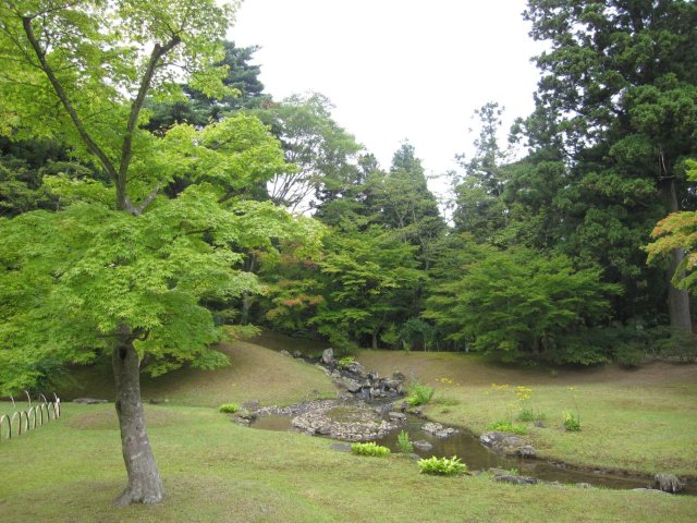 IMG_1670_20100915150022.jpg