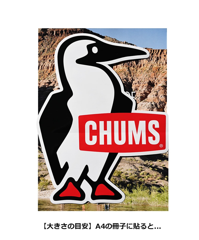 チャムス CHUMS ステッカー　丸型　直径8.1cm 新品