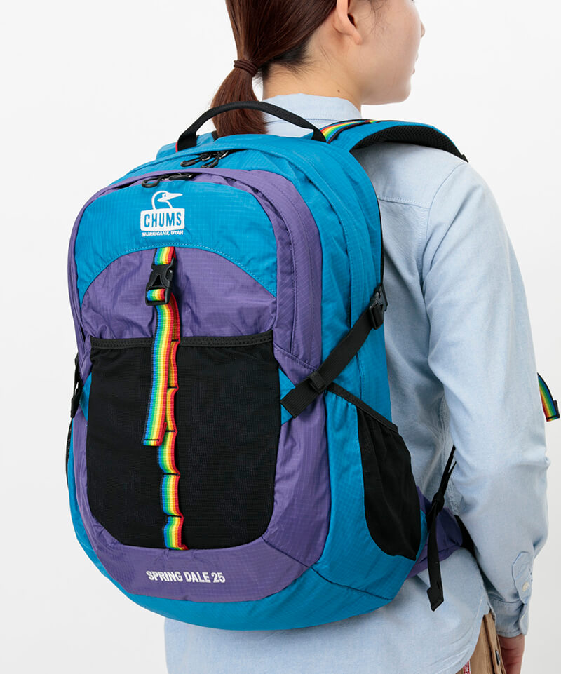 国内配送 15日全品p5倍 Spuで最大21 5倍 チャムス アウトドア Chums Spring Dale 25 Ii 25l スプリングデール25 バーベキュー キャンプ バッグ バック Ch60 2216 リュック Sps09 バッグ