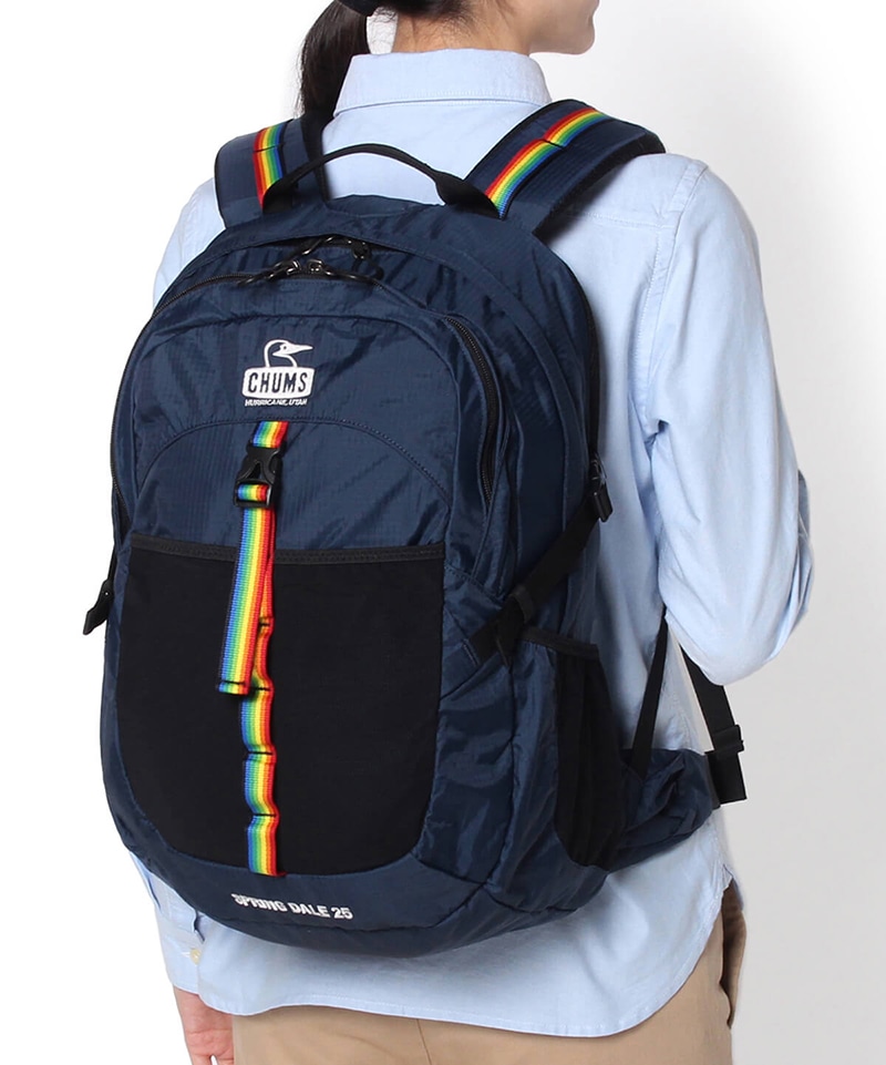 ストライプ デザイン/Striipe design CHUMS チャムス スプリングデール