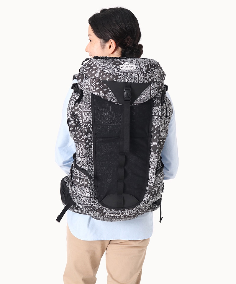 Spring Dale 35L Ⅱ/スプリングデール35リットルⅡ(デイパック|リュック)
