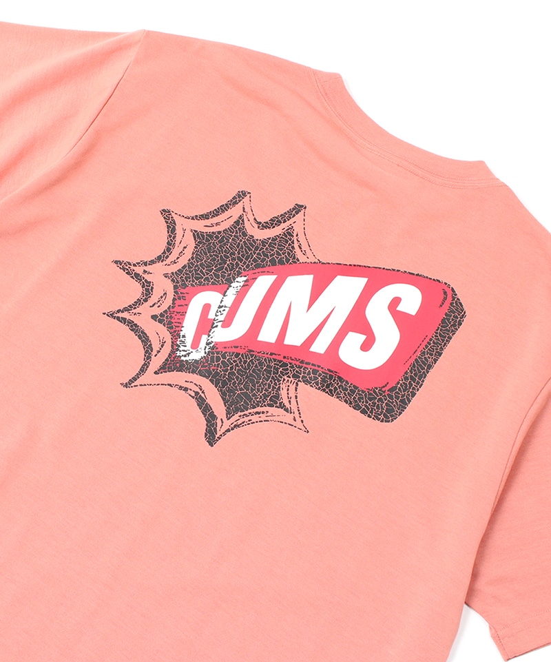 Flame Retardant Popped Out CHUMS T-Shirt(フレイムリターダントポップドアウトチャムスTシャツ(トップス/Tシャツ))