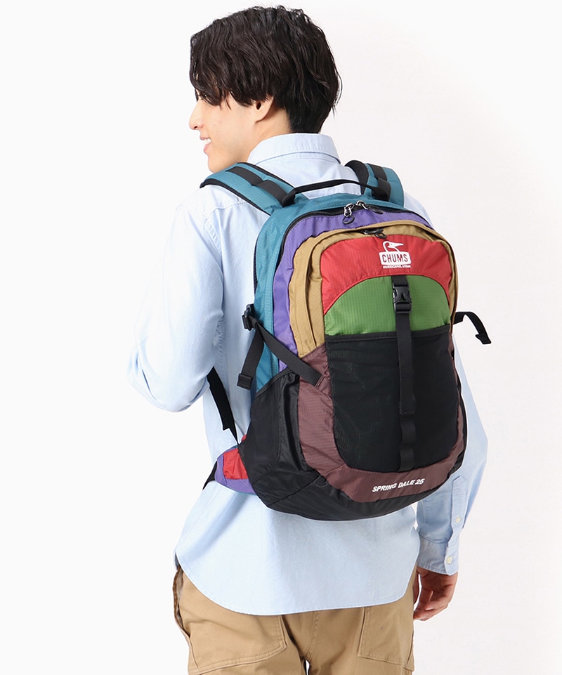 Spring Dale 25L/スプリングデール25リットル(リュック/デイパック ...