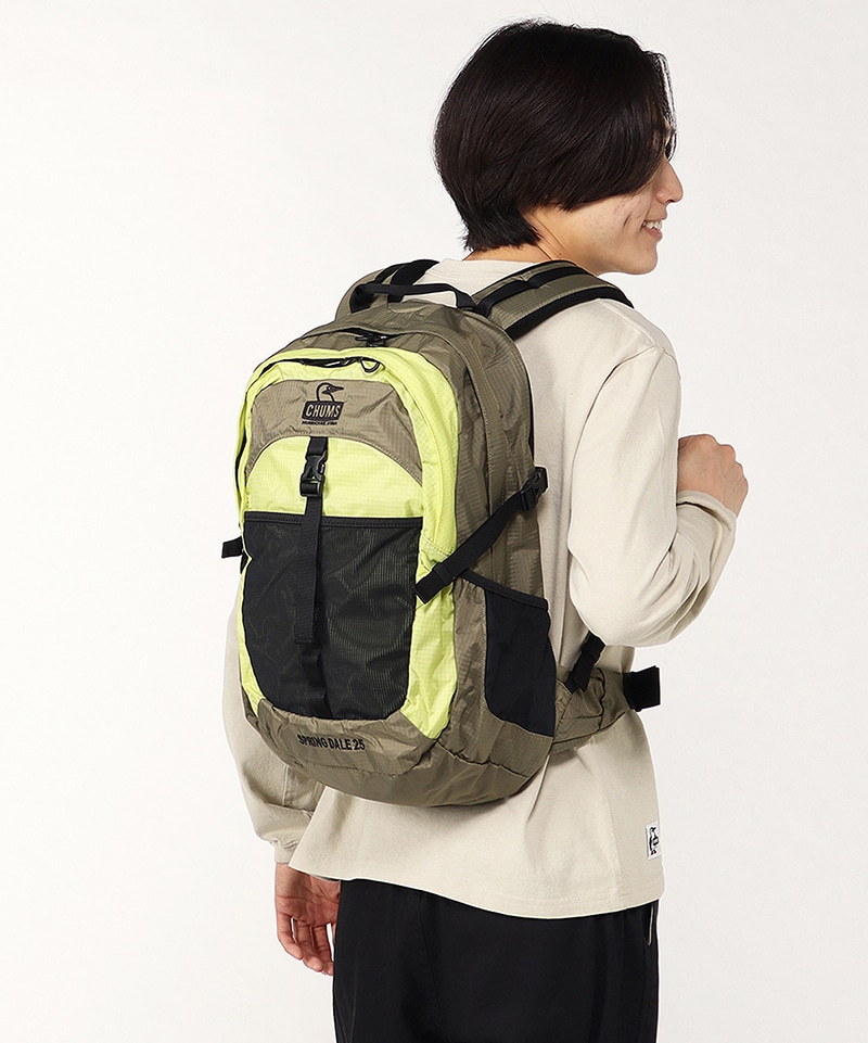 Spring Dale 25L/スプリングデール25リットル(リュック/デイパック 