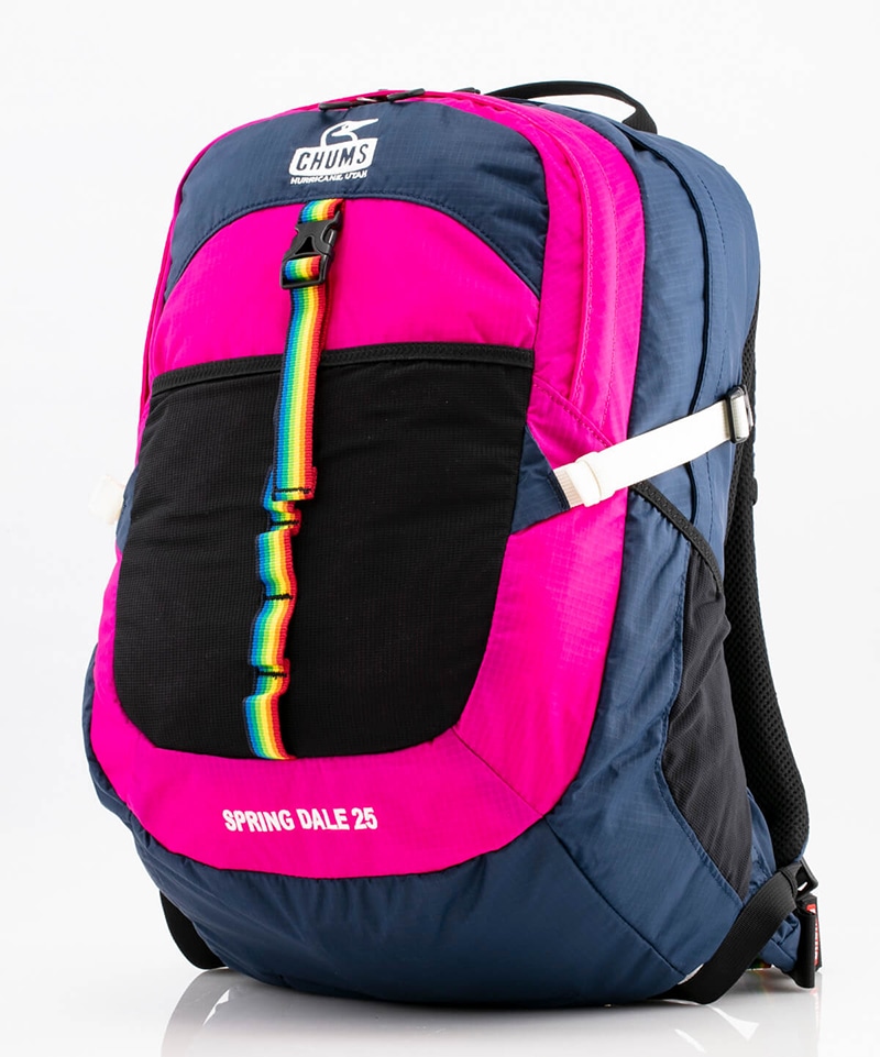 Spring Dale 25 Ⅱ(スプリングデール25 Ⅱ(リュック/デイパック))