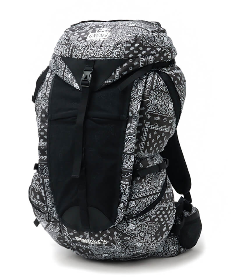 Spring Dale 35L Ⅱ/スプリングデール35リットルⅡ(デイパック