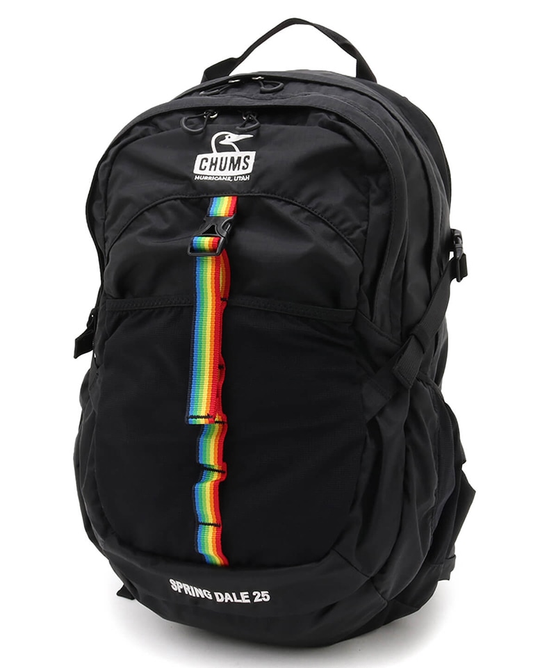 【美品】CHUMS 25L リュックバッグ