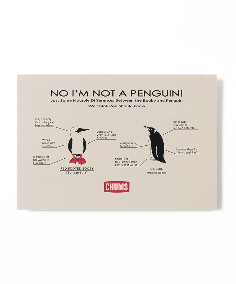 【限定】I'm Not A Penguin Postcard(【限定】アイムノットアペンギンポストカード)